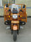 Τρίτροχες μοτοσικλέτα φορτίου/βενζίνη 3 μοτοσικλέτα 300cc φορτωτών βασιλιάδων ροδών